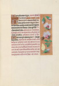 Hours of Queen Isabella the Catholic, Queen of Spain: Fol. 165r, ca. 1500. av Master of the First Prayerbook of Maximillian