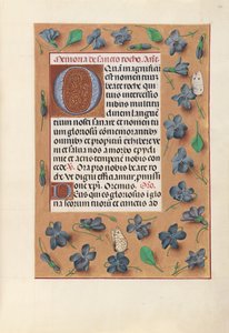 Hours of Queen Isabella the Catholic, Queen of Spain: Fol. 182r, ca. 1500. av Master of the First Prayerbook of Maximillian