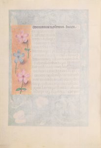 Hours of Queen Isabella the Catholic, Queen of Spain: Fol. 194v, ca. 1500. av Master of the First Prayerbook of Maximillian