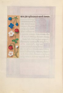 Hours of Queen Isabella the Catholic, Queen of Spain: Fol. 198v, ca. 1500. av Master of the First Prayerbook of Maximillian