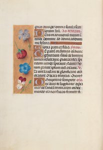 Hours of Queen Isabella the Catholic, Queen of Spain: Fol. 19v, ca. 1500. av Master of the First Prayerbook of Maximillian