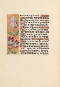 Hours of Queen Isabella the Catholic, Queen of Spain: Fol. 207v, ca. 1500. av Master of the First Prayerbook of Maximillian
