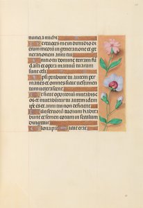 Hours of Queen Isabella the Catholic, Queen of Spain: Fol. 208r, ca. 1500. av Master of the First Prayerbook of Maximillian