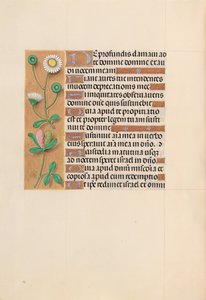 Hours of Queen Isabella the Catholic, Queen of Spain: Fol. 208v, ca. 1500. av Master of the First Prayerbook of Maximillian