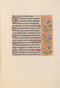 Hours of Queen Isabella the Catholic, Queen of Spain: Fol. 209r, ca. 1500. av Master of the First Prayerbook of Maximillian