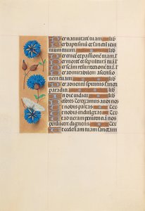 Hours of Queen Isabella the Catholic, Queen of Spain: Fol. 213v, ca. 1500. av Master of the First Prayerbook of Maximillian