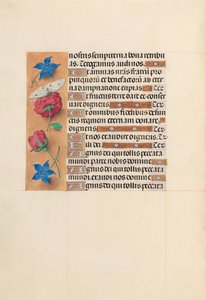 Hours of Queen Isabella the Catholic, Queen of Spain: Fol. 214v, ca. 1500. av Master of the First Prayerbook of Maximillian