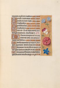 Hours of Queen Isabella the Catholic, Queen of Spain: Fol. 215r, ca. 1500. av Master of the First Prayerbook of Maximillian