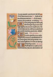 Hours of Queen Isabella the Catholic, Queen of Spain: Fol. 216v, ca. 1500. av Master of the First Prayerbook of Maximillian