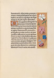 Hours of Queen Isabella the Catholic, Queen of Spain: Fol. 218r, ca. 1500. av Master of the First Prayerbook of Maximillian