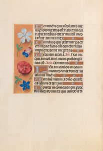Hours of Queen Isabella the Catholic, Queen of Spain: Fol. 221v, ca. 1500. av Master of the First Prayerbook of Maximillian