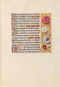 Hours of Queen Isabella the Catholic, Queen of Spain: Fol. 222r, ca. 1500. av Master of the First Prayerbook of Maximillian