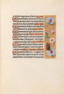 Hours of Queen Isabella the Catholic, Queen of Spain: Fol. 225r, ca. 1500. av Master of the First Prayerbook of Maximillian