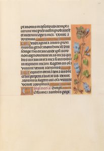 Hours of Queen Isabella the Catholic, Queen of Spain: Fol. 227r, ca. 1500. av Master of the First Prayerbook of Maximillian