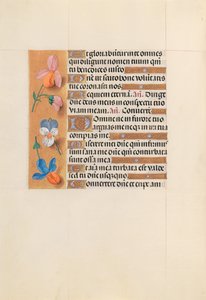 Hours of Queen Isabella the Catholic, Queen of Spain: Fol. 228v, ca. 1500. av Master of the First Prayerbook of Maximillian