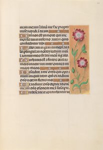 Hours of Queen Isabella the Catholic, Queen of Spain: Fol. 229r, ca. 1500. av Master of the First Prayerbook of Maximillian
