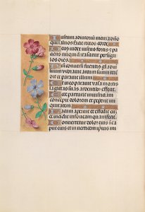 Hours of Queen Isabella the Catholic, Queen of Spain: Fol. 230v, ca. 1500. av Master of the First Prayerbook of Maximillian