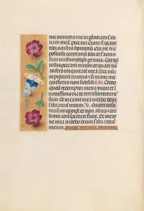 Hours of Queen Isabella the Catholic, Queen of Spain: Fol. 231v, ca. 1500. av Master of the First Prayerbook of Maximillian