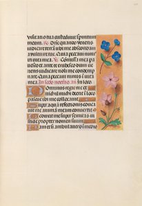  av Master of the First Prayerbook of Maximillian