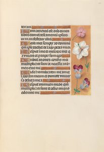 Hours of Queen Isabella the Catholic, Queen of Spain: Fol. 235r, ca. 1500. av Master of the First Prayerbook of Maximillian