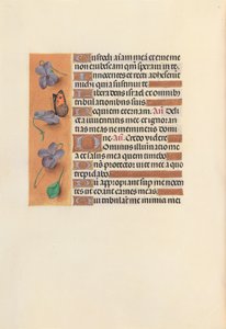 Hours of Queen Isabella the Catholic, Queen of Spain: Fol. 235v, ca. 1500. av Master of the First Prayerbook of Maximillian