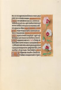 Hours of Queen Isabella the Catholic, Queen of Spain: Fol. 237r, ca. 1500. av Master of the First Prayerbook of Maximillian