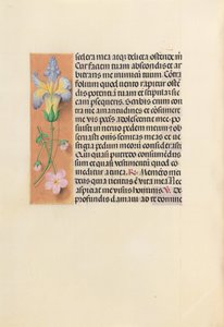 Hours of Queen Isabella the Catholic, Queen of Spain: Fol. 237v, ca. 1500. av Master of the First Prayerbook of Maximillian