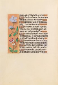 Hours of Queen Isabella the Catholic, Queen of Spain: Fol. 239v, ca. 1500. av Master of the First Prayerbook of Maximillian