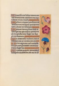 Hours of Queen Isabella the Catholic, Queen of Spain: Fol. 242r, ca. 1500. av Master of the First Prayerbook of Maximillian