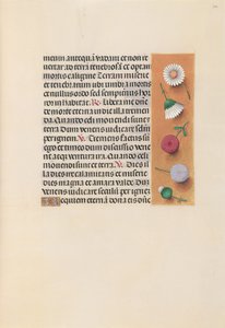 Hours of Queen Isabella the Catholic, Queen of Spain: Fol. 245r, ca. 1500. av Master of the First Prayerbook of Maximillian