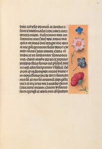 Hours of Queen Isabella the Catholic, Queen of Spain: Fol. 245r, ca. 1500. av Master of the First Prayerbook of Maximillian