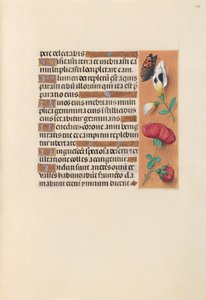  av Master of the First Prayerbook of Maximillian