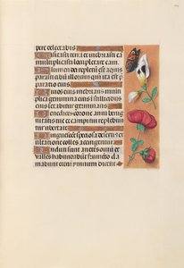 Hours of Queen Isabella the Catholic, Queen of Spain: Fol. 249r, ca. 1500. av Master of the First Prayerbook of Maximillian