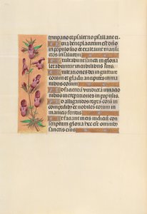 Hours of Queen Isabella the Catholic, Queen of Spain: Fol. 253v, ca. 1500. av Master of the First Prayerbook of Maximillian