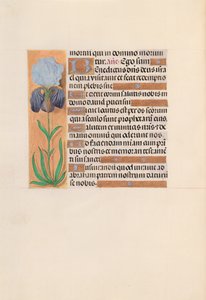 Hours of Queen Isabella the Catholic, Queen of Spain: Fol. 254v, ca. 1500. av Master of the First Prayerbook of Maximillian