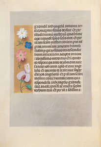 Hours of Queen Isabella the Catholic, Queen of Spain: Fol. 258v, ca. 1500. av Master of the First Prayerbook of Maximillian