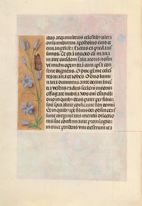 Hours of Queen Isabella the Catholic, Queen of Spain: Fol. 262v, ca. 1500. av Master of the First Prayerbook of Maximillian