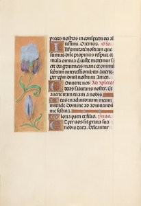 Hours of Queen Isabella the Catholic, Queen of Spain: Fol. 41v, c. 1500. av Master of the First Prayerbook of Maximillian