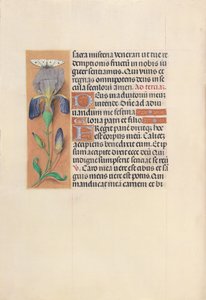 Hours of Queen Isabella the Catholic, Queen of Spain: Fol. 45v, ca. 1500. av Master of the First Prayerbook of Maximillian