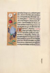 Hours of Queen Isabella the Catholic, Queen of Spain: Fol. 46v, ca. 1500. av Master of the First Prayerbook of Maximillian