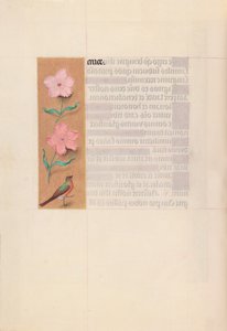 Hours of Queen Isabella the Catholic, Queen of Spain: Fol. 56v, ca. 1500. av Master of the First Prayerbook of Maximillian