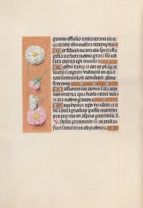 Hours of Queen Isabella the Catholic, Queen of Spain: Fol. 58v, ca. 1500. av Master of the First Prayerbook of Maximillian