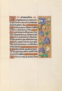  av Master of the First Prayerbook of Maximillian