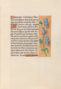 Hours of Queen Isabella the Catholic, Queen of Spain: Fol. 60r, ca. 1500. av Master of the First Prayerbook of Maximillian