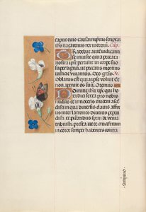 Hours of Queen Isabella the Catholic, Queen of Spain: Fol. 67v, ca. 1500. av Master of the First Prayerbook of Maximillian