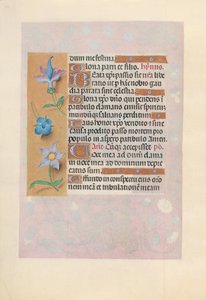 Hours of Queen Isabella the Catholic, Queen of Spain: Fol. 69v, ca. 1500. av Master of the First Prayerbook of Maximillian