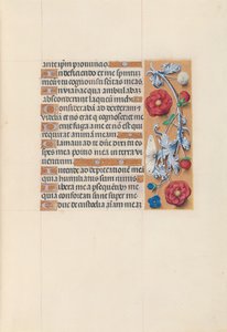 Hours of Queen Isabella the Catholic, Queen of Spain: Fol. 70r, ca. 1500. av Master of the First Prayerbook of Maximillian