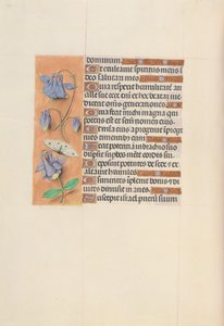 Hours of Queen Isabella the Catholic, Queen of Spain: Fol. 75v, ca. 1500.