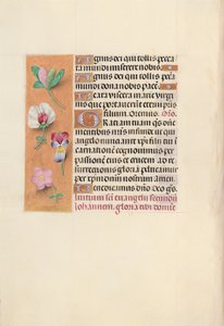Hours of Queen Isabella the Catholic, Queen of Spain: Fol. 92v, ca. 1500. av Master of the First Prayerbook of Maximillian