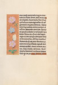 Hours of Queen Isabella the Catholic, Queen of Spain: Fol. 94v, ca. 1500. av Master of the First Prayerbook of Maximillian
